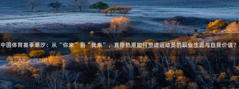 中国体育赛事潮汐：从“你来”到“我来”，直播热潮如何塑造运动员的职业生涯与自我价值？