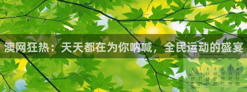 澳网狂热：天天都在为你呐喊，全民运动的盛宴