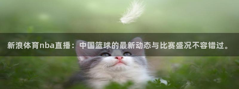 新浪体育nba直播：中国篮球的最新动态与比赛盛况不容错过。