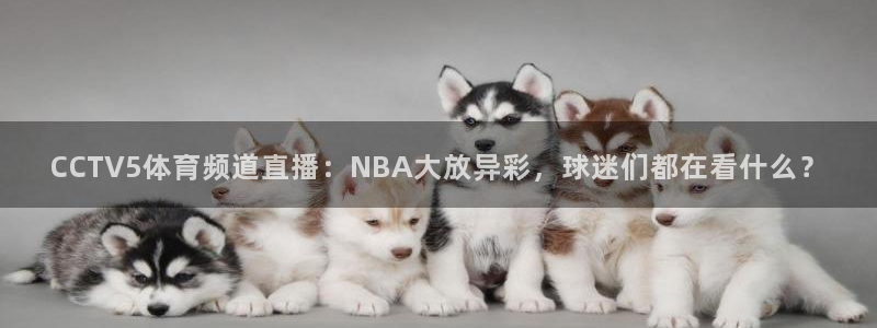新闻图片