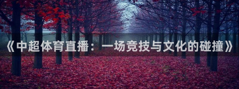 《中超体育直播：一场竞技与文化的碰撞》