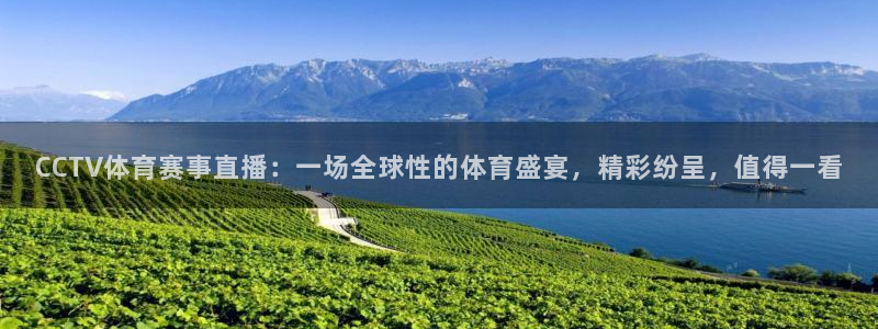 CCTV体育赛事直播：一场全球性的体育盛宴，精彩纷呈，值得一看
