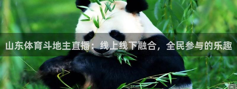 山东体育斗地主直播：线上线下融合，全民参与的乐趣